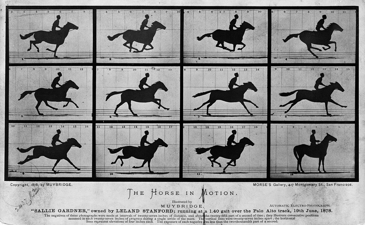A series of photographs of a horse and rider captured at successive moments of a gallop.