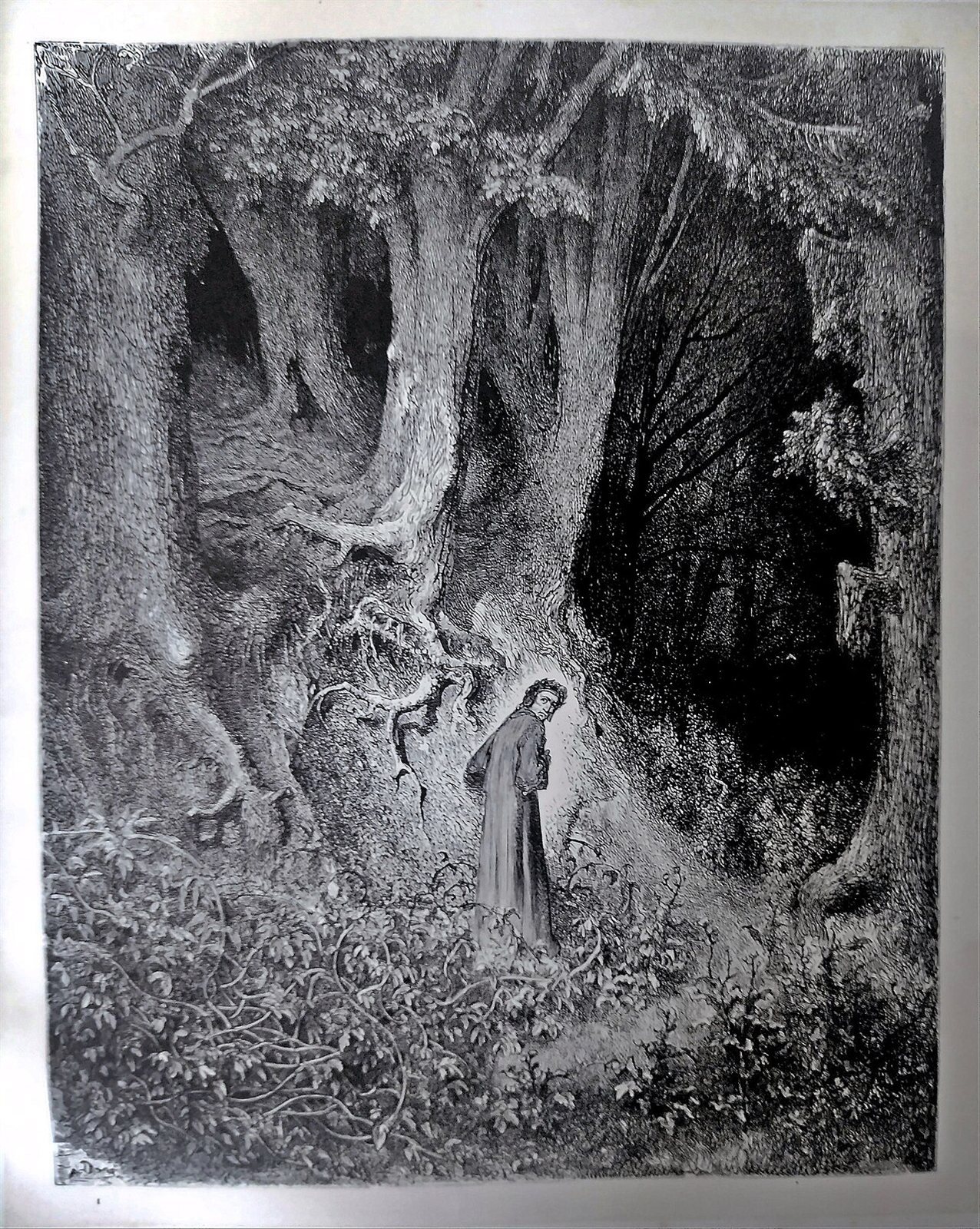 A small figure stands among tall dark tree trunks in a forest, one hand raised.