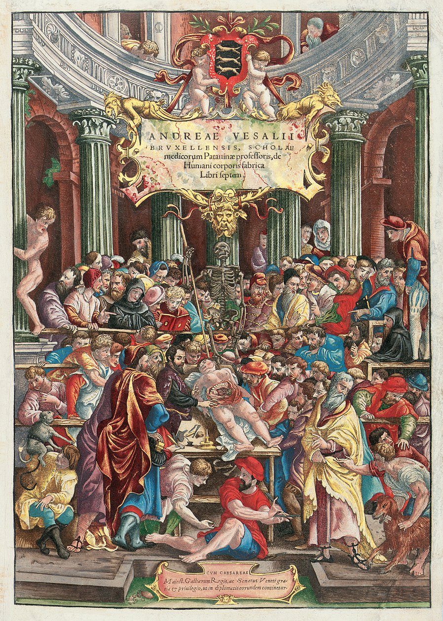 Andreas Vesalius, frontispiece to De Humani Corporis Fabrica, 1543. A crowded anatomical theater surrounds a dissection in progress, with Vesalius himself at the center examining the human body.