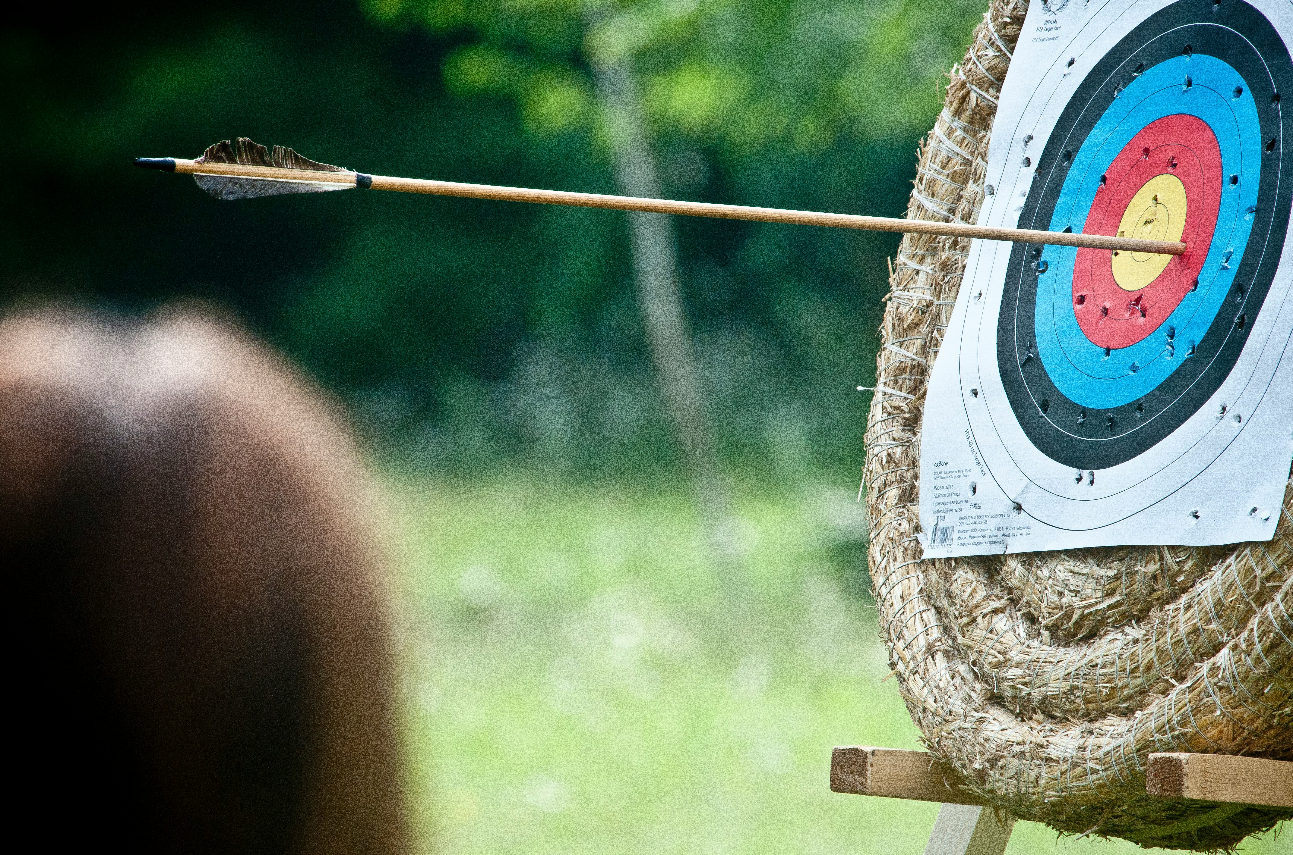 A circular archery target with a single arrow piercing its center and an array of concentric circles representing scoring zones.